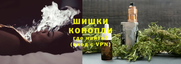 гашик Арсеньев