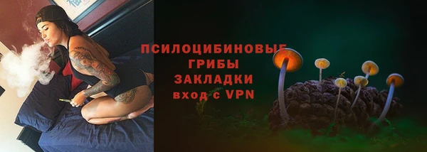 хмурый Армянск