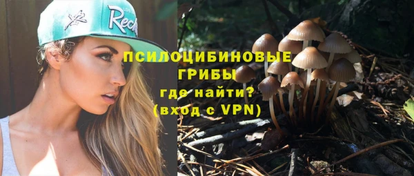 apvp Аркадак